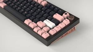 GMK trüffelschwein キーキャップセット CYL Truffelschwein – NovelKeys LLC