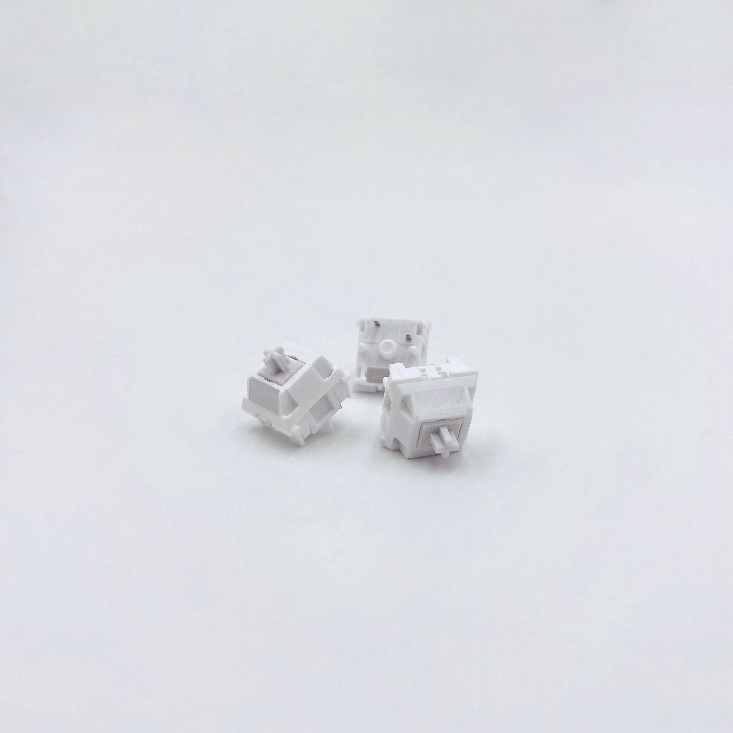 WS Morandi Switch